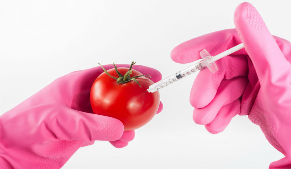 genetic modification and engineering